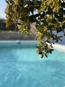 The swimming pool at or close to Masía La Costereta