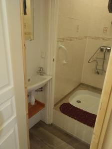 La petite salle de bains est pourvue d'une douche et d'un lavabo. dans l'établissement Doux Ombrages, à La Bourboule