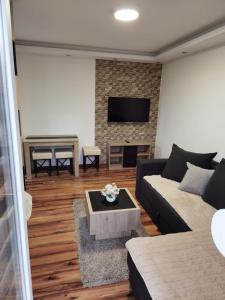 uma sala de estar com um sofá e uma televisão em Centar Milena em Arandjelovac
