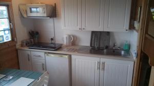 A kitchen or kitchenette at The cabin with the view 