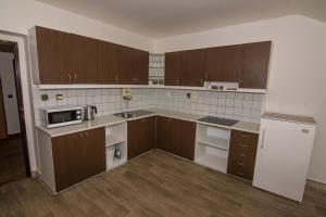 Kuchyň nebo kuchyňský kout v ubytování Apartmán Lorien Nekoř