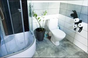 a bathroom with a toilet and a shower and a plant at Domek u Asi in Polańczyk