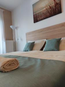 Łóżko lub łóżka w pokoju w obiekcie Bike & Spa Velence Apartman
