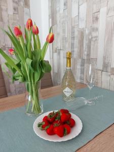 Napoje w obiekcie Bike & Spa Velence Apartman