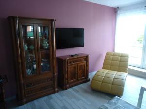 a living room with a tv and a cabinet and a chair at Altstadt-Insel in Rathenow