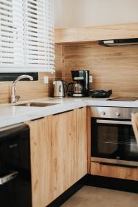 Gallery image of Elia Luxury Suites in Plataria