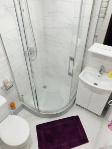 a bathroom with a shower and a toilet and a sink at Apartment - Sobornyi Prospekt 97 in Zaporozhye