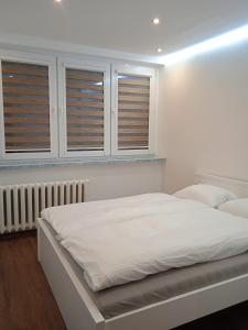 a white bedroom with two beds and windows at Apartament Bukowa Kopa in Stronie Śląskie