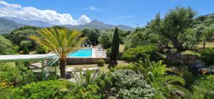 un jardin avec une piscine, des arbres et des montagnes dans l'établissement Hotel Cala di l'Oru, à LʼÎle-Rousse