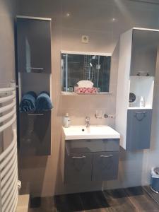 ein Bad mit einem Waschbecken und einem Spiegel in der Unterkunft Ferienhaus an den Moorwiesen in Bad Saarow