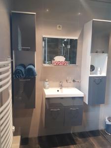 a bathroom with a sink and a mirror at Ferienhaus an den Moorwiesen in Bad Saarow