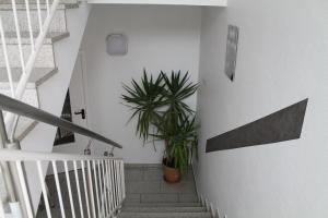 Fotografie z fotogalerie ubytování Hotel Steakhouse Am Rathaus v destinaci Tann