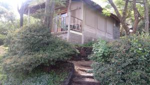 納庫魯的住宿－麥莉沙巴山林小屋，一座带窗户和灌木的房子
