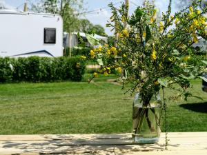 a vase filled with yellow flowers sitting on a table at Luxe safaritenten Petit013 - nieuw in Tilburg