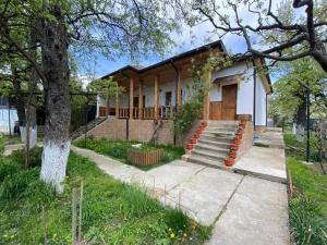 a house with a tree and stairs in front of it at PENSIUNEA DODO in Pătîrlagele