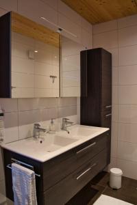 a bathroom with a sink and a mirror at Appartement Elisa in Hörbranz