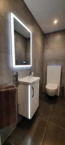Bilik mandi di Alps Spirits - B&B Studio
