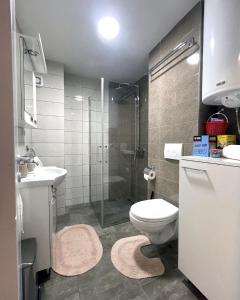 ein Bad mit einer Dusche, einem WC und einem Waschbecken in der Unterkunft Danubiana Apartments in Kladovo