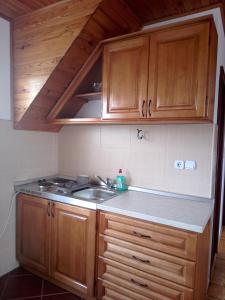 Kuchyň nebo kuchyňský kout v ubytování Apartmani Bane