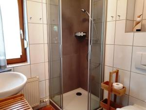 ein Badezimmer mit Dusche und Waschbecken in der Unterkunft Ferienwohnung Mönchgut 1 mit Wintergarten und Terrasse in Ostseebad Sellin