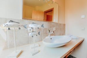 un bagno con lavandino e specchio di Ferienwohnung Am Leuchtfeuer EG a Wustrow