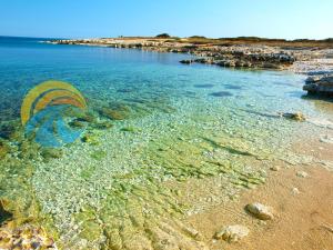 a beach with clear water and a rocky shore at Apartment Anton 2083 in Premantura