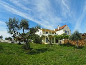 a house on a hill with a tree in a field at Porturama in Mouronho