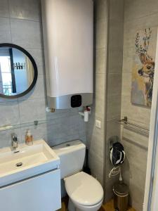 een badkamer met een wit toilet en een wastafel bij Chaleureux studio * Neuf * Hypercentre * Wifi * in Orléans