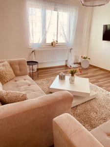 a living room with a couch and a table at Trio Apartments in Ostrava