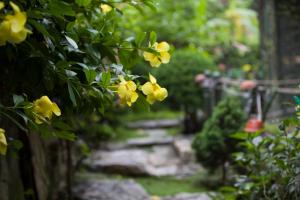 Ein Garten an der Unterkunft Tam Coc Lion Kings Hotel & Resort