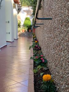 Vonkajšia záhrada v ubytovaní Hedera Capri B&B