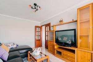 a living room with a couch and a flat screen tv at Sarnadela in Caldas de Reis