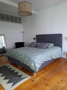 1 dormitorio con 1 cama con edredón azul y alfombra en L'appartement du Pilori 1er étage, en Saint-Jean-dʼAngély