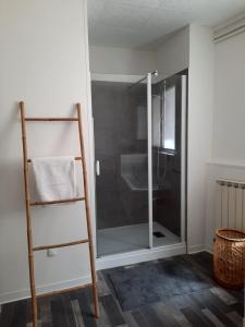 a shower with a glass door in a bathroom at L'appartement du Pilori 1er étage in Saint-Jean-dʼAngély