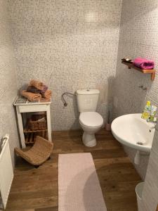 a bathroom with a toilet and a sink at Penzion Hrádecký Dvůr in Pilsen