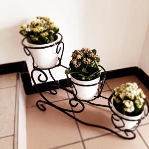 Fotografie z fotogalerie ubytování HOTEL JOHN v Rimini