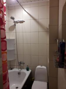 La petite salle de bains est pourvue de toilettes et d'un lavabo. dans l'établissement Vienibas 38a, à Daugavpils
