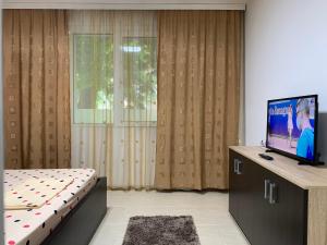 Et tv og/eller underholdning på ELI Apartment