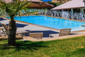 a swimming pool with chairs and a palm tree at Giardini Del Golfo in Balestrate