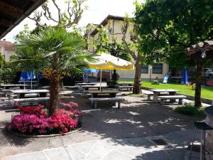 Zahrada ubytování Osteria Belvedere