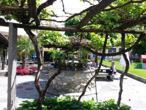 Vrt pred nastanitvijo Osteria Belvedere