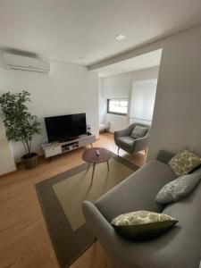 a living room with a couch and a tv at Apartamento Milénio T2 in Arouca