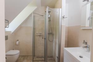 uma casa de banho com um chuveiro e um WC. em Remise Thurn em Heroldsbach