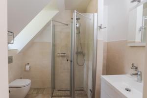 a bathroom with a shower and a toilet at Remise Thurn in Heroldsbach