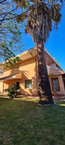 una palmera frente a un edificio en il Giardino di Sirius en Francavilla al Mare