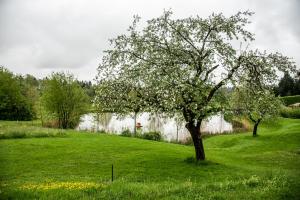 Naturlandschaft in der Nähe des Hotels