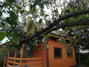 Φωτογραφία από το άλμπουμ του Domek pod jabłonią Mikoszewo σε Mikoszewo +14 φωτογραφίες