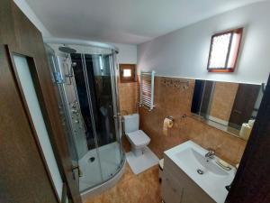 a bathroom with a shower and a toilet and a sink at Apartament Matei in Braşov +21 photos