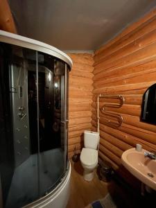 a bathroom with a toilet and a sink at Садиба у Попа in Lumshory