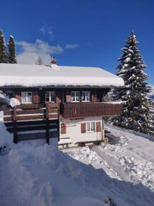 Chalet Grazia v zimě